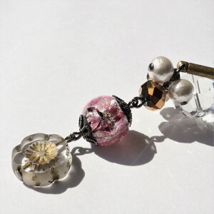 񂴂 { z^KX قʂƃ`FRr[Y̔ sN