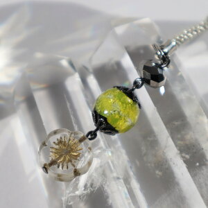 t Xgbv z^KX ~̉ `FRr[Y  CG[ F