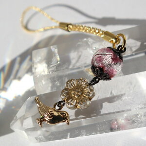 t Ɖ z^KX ~ق ƂڋʃXgbv jp sN