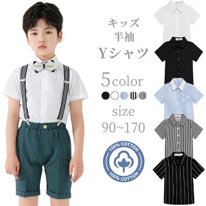 yꕔ[zyz  qǂ CVc  qVc@zCg ubN@u[ XgCv q yVc Vc Vc   w Ǝ tH[} j̎q 