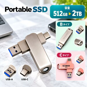 USB������ Type-C�Ή� 512GB �X�}�z�Ή� 2in1 USB-A Type-C ��]�� �X�g���b�v�z�[���t�� �R���p�N�g ���^���{�f�B C�^�C�v