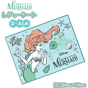 AG ARIEL vZX W[V[g 120cm × 90cm ̎q 2l 3l  AEghA sNjbN v[ q ^ nCLO Ԍ@[֑