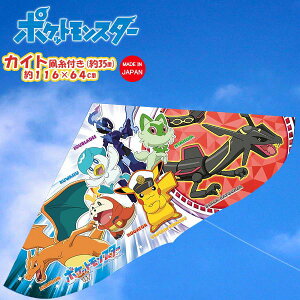 LN^[ JCg |PbgX^[ |P pokemon QC ^R  g {  OV  L I_