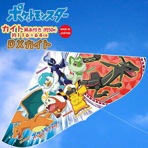 LN^[ JCg |PbgX^[ |P pokemon QC ^R  g {  OV  L I_