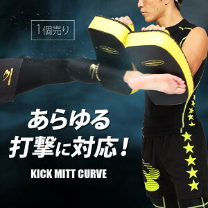 BODYMAKER �{�f�B���[�J�[ �L�b�N�~�b�g�J�[�u�{�N�V���O �i���Z �L�b�N �g���[�j���O �����i���Z �t�B�b�g�l�X �G�N�T�T�C�Y