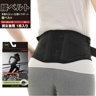 TEIJIN 帝人 腰ベルト 1枚入り 男女兼用 日本製　骨盤 固定 姿勢強制 負担軽減送料無料