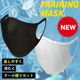 D&M ディーアンドエム トレーニングマスク (1枚入) 日本製