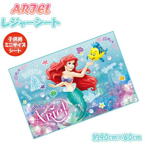 AG@ARIEL vZX W[V[g (S) 90cm × 60cm  lp  AEghA sNjbN v[ q ^ Ԍ@[֑