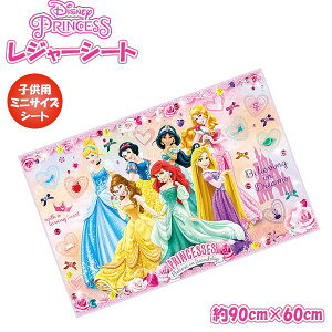 vZX Pl W[V[g (S) 90cm × 60cm  lp  AEghA sNjbN v[ q ^@[֑