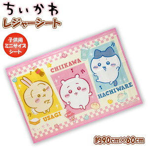  W[V[g (S) 90cm × 60cm 1lp 2lp  AEghA sNjbN v[ q ^ Ԍ@[֑