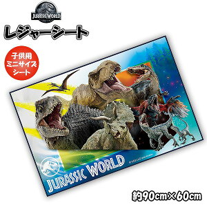 WVbN [h  W[V[g (S) 90cm × 60cm 1lp 2lp  AEghA sNjbN v[ q ^ Ԍ@[֑