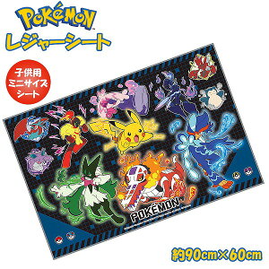 |PbgX^[ |P W[V[g (S) 90cm × 60cm j lp  AEghA sNjbN v[ q ^ Ԍ@[֑