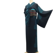楽天市場】斉藤 上 太郎 着物（レディースファッション）の通販