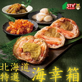 北海道 特選 海幸箱