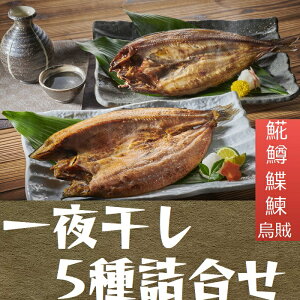kC 銱 5_Zbg l ق  ɂ ꂢ TN}X  G   銱 Iz[cN ̂蔲Q  m SR068 STV Dyer  j  ԗ  