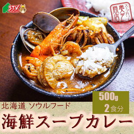 奥芝商店 海鮮スープカレー 2食セット 札幌 元祖海老出汁 竜宮の賄い 北海道ソウルフード 海老 イカ ホタテ あさり 500g 2個 中辛 夕食 ディナー スパイス ギフト 贈答 内祝 御礼 返礼 お中元 お歳暮 お祝い