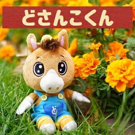 どさんこくん ぬいぐるみ ぬい活 うま年 午年 干支 道産子 どさんこ ヌイ活 札幌テレビ放送 オリジナル キャラクター お座りタイプ 肩乗せ 人気 どさんこワイド かわいい 癒し キュート 馬 人形 STV 札幌テレビ SR801