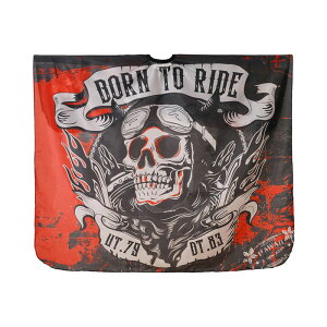 JbgNX JbeBOP[v Born to ride   XJCXg ubN bh TCY e YT  e@