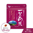 ルテイン 一望百景 機能性表示食品 30粒入 アイケア サプリ マイケア 紅いも 沖縄 サプリメント 琉球 アントシアニン フコイダン 目 保護 コントラスト感度 網膜 黄斑色素量 かすみ ぼやけ パソコン スマホ PC 携帯 老眼 GREENBASE グリーンベース メール便送料無料