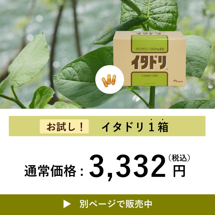 楽天市場】【3箱セット P3倍】イタドリ 90粒入 オオイタドリ 