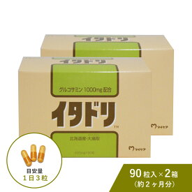 【2箱セット P2倍】イタドリ 90粒入 オオイタドリ グルコサミン コンドロイチン 2型 コラーゲン 赤しょうが 軟骨成分 サプリ マイケア 北海道 サプリメント 1日3粒 厳選素材 ふしぶし対策 散歩 旅行 運動 健康維持 サポート GREENBASE グリーンベース 送料無料
