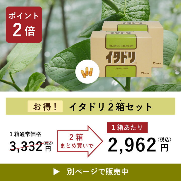 楽天市場】【3箱セット P3倍】イタドリ 90粒入 オオイタドリ 