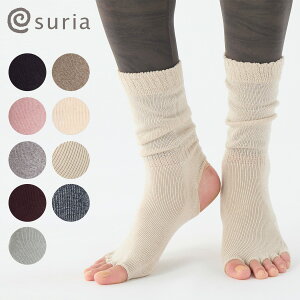 y2024AWVFzXA K C ~ K \bNX XA JhQb^ yYΉ KEFA 5{w 5{wȂ ܖ{w C \bNX KC K\bNX ~ߕt K o