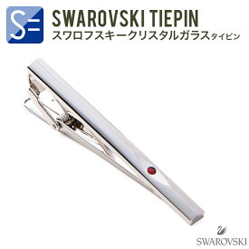 ネクタイピン （ タイピン ・ タイバー ） EYEデザイン メンズ シンプル 結婚式 ノー ブランド スワロフスキー入 TW811