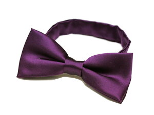 lN^C ㎿ȋsVN100% { {E^C o^tC S17F ^C Y tH[} ubN  zCg Vo[ C bh lCr[ O[ u[   p[eB[