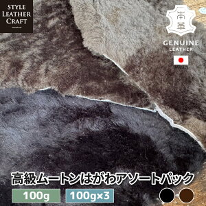 y[gz ͂A\[gpbN 100g ubN _[NuE   {v [g ͂ є ӂӂ U[Ntg nhCh  3pbN ~ ANZg 