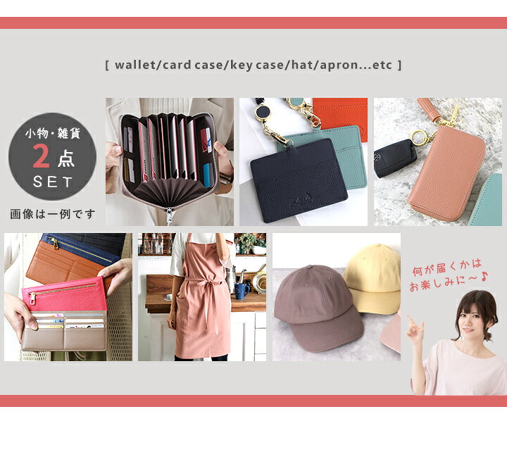 楽天市場】【300円offクーポン】【訳あり】福袋 2025 小物 雑貨2点  