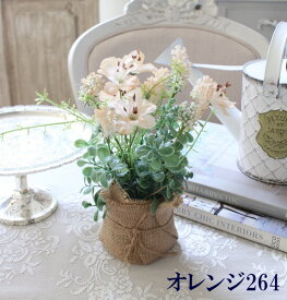 楽天市場 バラ 寄せ植えの通販