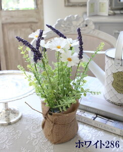 バラ 寄せ植え 鉢の人気商品 通販 価格比較 価格 Com バラ 寄せ植え 鉢の人気商品 通販 価格比較 価格 Com