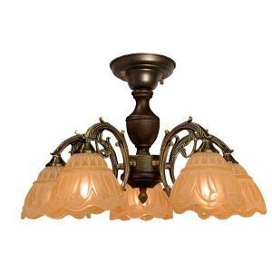 Ao[KX v KXVF[h V[Ov 5 { V[OCg g re[W VƖ _CjO rO Ɩ NVbN AeB[N NVJ A