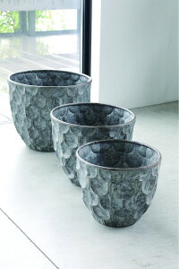 ACA|bg 3_Zbg v^[Jo[ Vo[ v^[ AO Jo[ |bg X`[  C_XgA _ AeB[N uJg K[fjO