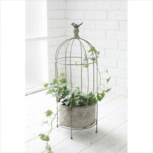 t[|bg XeB vcP[W o[hP[W v^[ v^[Jo[ K[fjO K[fIuWF  AeB[N t`Jg[ Vr[VbN AeB[