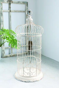 K[fjO v^[Q[W u u g[Q[W v^[ Vr[ uJg Xܑ X܏Y ϗtA AeB[N t`Jg[ Vr[VbN AeB[N