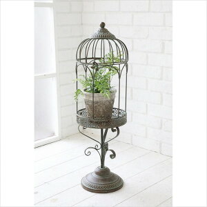 t[X^h K[{ Ff X^hK[{ K[fjO K[fIuWF v^[ X܏Y AeB[N t`Jg[ Vr[VbN AeB[N uJg