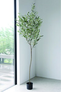 I[u  lHϗtA [W g[ 傫  lHA I[u̖ K[fjO X܏Y ^A Xܑ t`Jg[ Vr[VbN