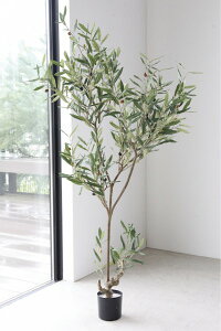 I[u lHϗtA [W 傫  lHA I[u̖ K[fjO X܏Y ^A Xܑ t`Jg[ Vr[VbN