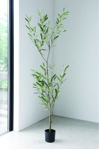 I[u lHϗtA [W 傫  lHA I[u̖ K[fjO X܏Y ^A Xܑ t`Jg[ Vr[VbN