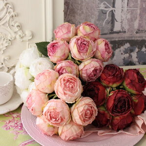 [Yu[P o KN u[P t[u[P  sN zCg [u C A[eBtBVt[ I[h[Y ԑ 킢 Mtg t[AW t[Mtg