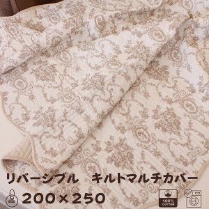 LgJo[ LgO }`Jo[ x[W Aglbg[Y 200×250 o \t@Jo[ LeBOX[ LeBO Jo[ LeBOO   100 R