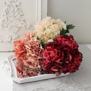  AeB[N sIj[ u[P 䉖 ԑiN[ sN r[eB[jAeB[N VbN lJ[ KN z  VNt[ A[eBtBVt[ Ce