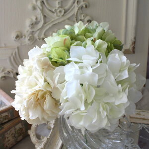   AWTC sbN z AC{[ N[zCg CgO[ i`  VNt[ A[eBtBVt[ CeAt[ u[P ԑ 