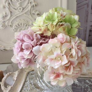  AWTC sbN z  [u CgsN sNO[ i`  VNt[ A[eBtBVt[ CeAt[ u[P ԑ 