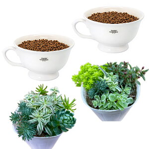 XI[v10NLO@AƃJbṽZbg iEj