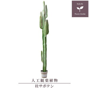 サボテン 観葉植物 Diy 工具の人気商品 通販 価格比較 価格 Com