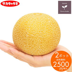 苗 メロンの人気商品 通販 価格比較 価格 Com