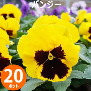 ԕc pW[ ԐF܂20|bgZbg H~  E